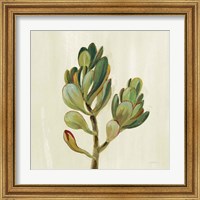 Framed 'Front Yard Succulent II' border=