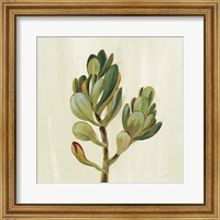 Framed 'Front Yard Succulent II' border=