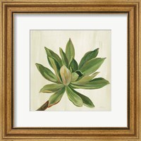 Framed 'Front Yard Succulent I' border=