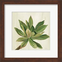 Framed 'Front Yard Succulent I' border=