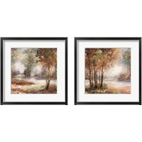 Framed 'Light in Balance 2 Piece Framed Art Print Set' border=