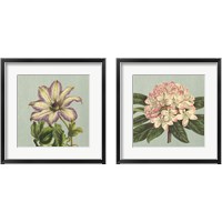 Framed 'Purple Clematis 2 Piece Framed Art Print Set' border=