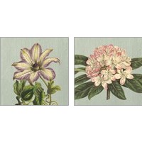 Framed 'Purple Clematis 2 Piece Art Print Set' border=