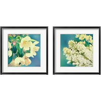 Framed 'Natures Apple Blossom 2 Piece Framed Art Print Set' border=