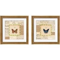 Framed 'Truth & Hope Butterfly 2 Piece Framed Art Print Set' border=