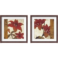 Framed 'Floral Harmony 2 Piece Framed Art Print Set' border=