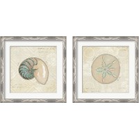 Framed 'Beach Treasures 2 Piece Framed Art Print Set' border=