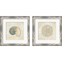 Framed 'Beach Treasures 2 Piece Framed Art Print Set' border=