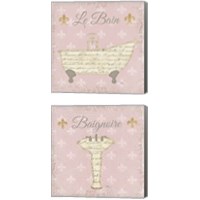 Framed 'Vintage Bath Pink 2 Piece Canvas Print Set' border=