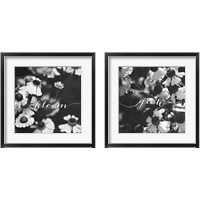 Framed 'Bloom and Grow 2 Piece Framed Art Print Set' border=