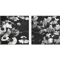 Framed 'Bloom and Grow 2 Piece Art Print Set' border=