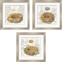 Framed 'Botanical Nest 3 Piece Framed Art Print Set' border=