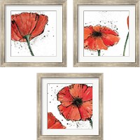 Framed 'Not a California Poppy 3 Piece Framed Art Print Set' border=