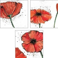 Framed 'Not a California Poppy 3 Piece Art Print Set' border=