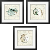 Framed 'Ocean Prints 3 Piece Framed Art Print Set' border=