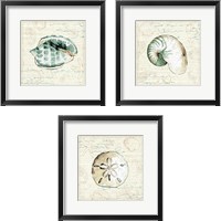 Framed 'Ocean Prints 3 Piece Framed Art Print Set' border=