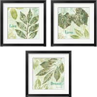 Framed 'Natures Impressions 3 Piece Framed Art Print Set' border=