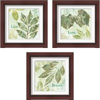 Framed 'Natures Impressions 3 Piece Framed Art Print Set' border=