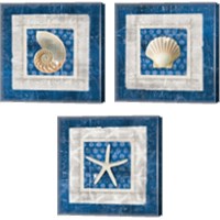 Framed 'Sea Shell on Blue 3 Piece Canvas Print Set' border=