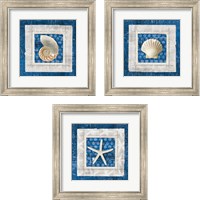 Framed 'Sea Shell on Blue 3 Piece Framed Art Print Set' border=