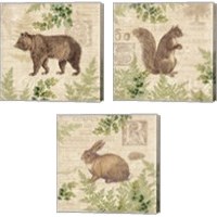 Framed 'Woodland Trail 3 Piece Canvas Print Set' border=