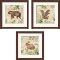 Framed 'Woodland Trail 3 Piece Framed Art Print Set' border=