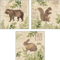 Framed 'Woodland Trail 3 Piece Art Print Set' border=