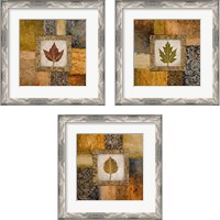 Framed 'Fallen Leaf 3 Piece Framed Art Print Set' border=