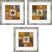 Framed 'Fallen Leaf 3 Piece Framed Art Print Set' border=