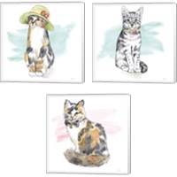 Framed 'Fancy Cats 3 Piece Canvas Print Set' border=