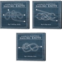 Framed 'Vintage Sailing Knots 3 Piece Canvas Print Set' border=