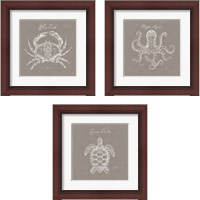 Framed 'Underwater Life Greige 3 Piece Framed Art Print Set' border=