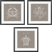 Framed 'Underwater Life Greige 3 Piece Framed Art Print Set' border=