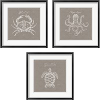 Framed 'Underwater Life Greige 3 Piece Framed Art Print Set' border=