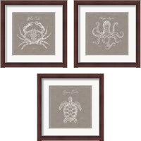 Framed 'Underwater Life Greige 3 Piece Framed Art Print Set' border=