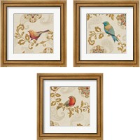 Framed 'Bird Rainbow 3 Piece Framed Art Print Set' border=