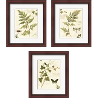 Framed 'Ivies and Ferns 3 Piece Framed Art Print Set' border=