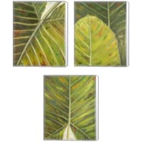 Framed 'Green Zoom 3 Piece Canvas Print Set' border=