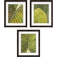 Framed 'Green Zoom 3 Piece Framed Art Print Set' border=