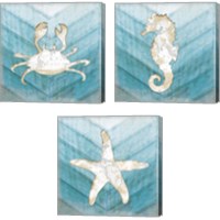 Framed 'Coastal Sealife 3 Piece Canvas Print Set' border=