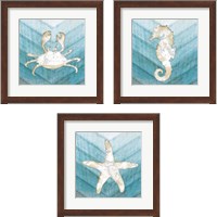 Framed 'Coastal Sealife 3 Piece Framed Art Print Set' border=