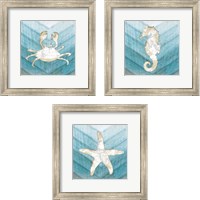 Framed 'Coastal Sealife 3 Piece Framed Art Print Set' border=