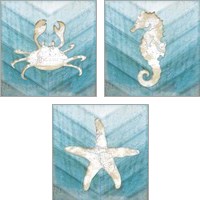 Framed 'Coastal Sealife 3 Piece Art Print Set' border=
