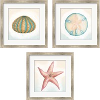 Framed 'Boardwalk Sea Life 3 Piece Framed Art Print Set' border=