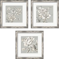 Framed 'Botanical 3 Piece Framed Art Print Set' border=