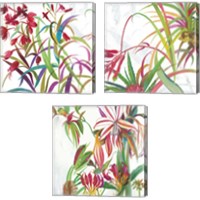 Framed 'Tropical 3 Piece Canvas Print Set' border=