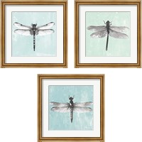 Framed 'Dragonfly  3 Piece Framed Art Print Set' border=