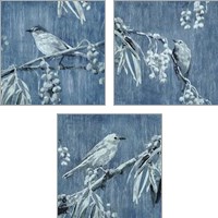 Framed 'Denim Songbird 3 Piece Art Print Set' border=