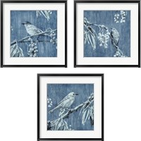 Framed 'Denim Songbird 3 Piece Framed Art Print Set' border=