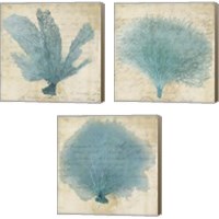 Framed 'Blue Coral 3 Piece Canvas Print Set' border=